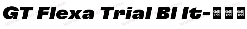 GT Flexa Trial Bl It字体转换